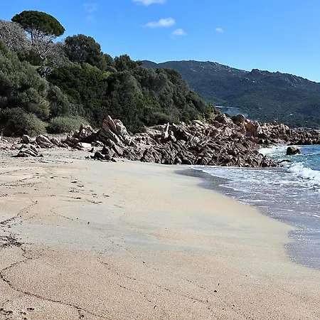 Les Sanguinaires N31 - T2 Vue Mer, Piscine, 公寓 *