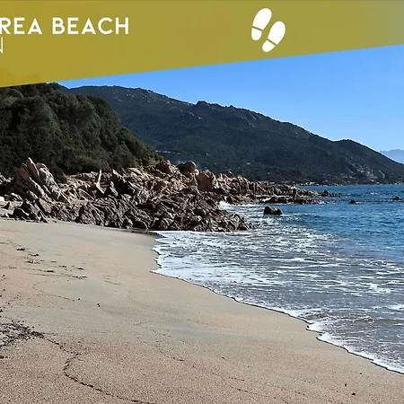 Les Sanguinaires N31 - T2 Vue Mer, Piscine, Apartment